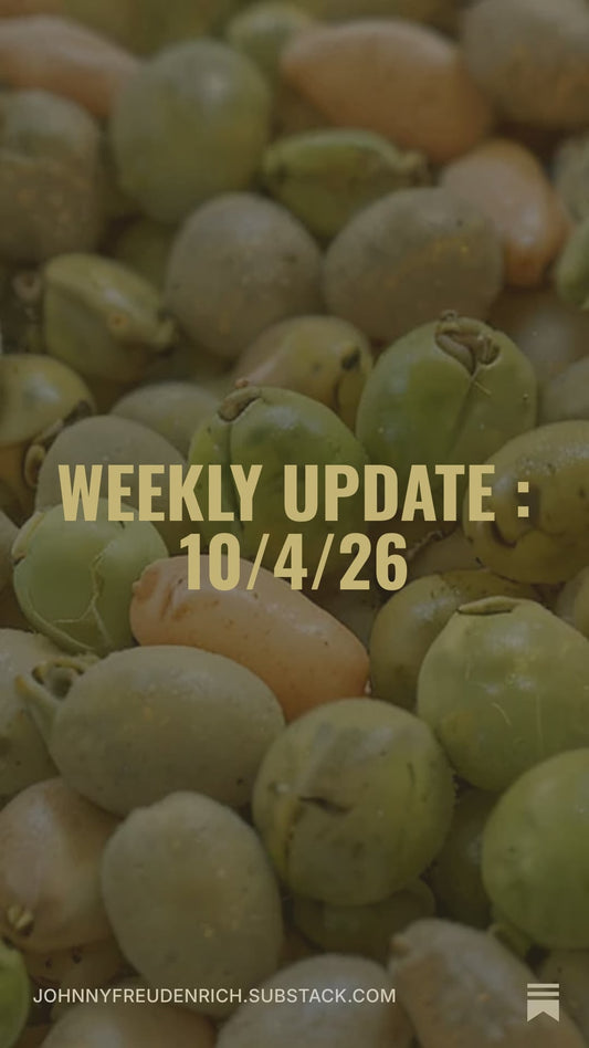 Weekly Update : 10/4/26